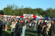 EUROPIKNIK, Lubin, błonia