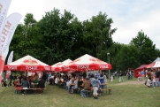 Dni Polkowic 29-30.06.2013