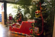 Comber 2014 - przygotowania do imprezy