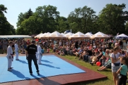 04-05.06.2016 Dni Ścinawy