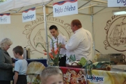 Festiwal Narodów - Lubin