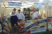 Festiwal Narodów - Lubin