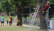16.06.2019 Festyn rodzinny ZG Polkowice-Sieroszowice