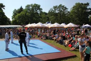 Dni Ścinawy 2016